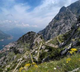Kotor
