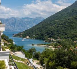 Kotor