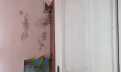 Croatia, Island of Hvar,  - Stone house, for sale