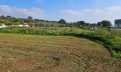 Croatia, Istria Peninsula,  - Plot, for sale