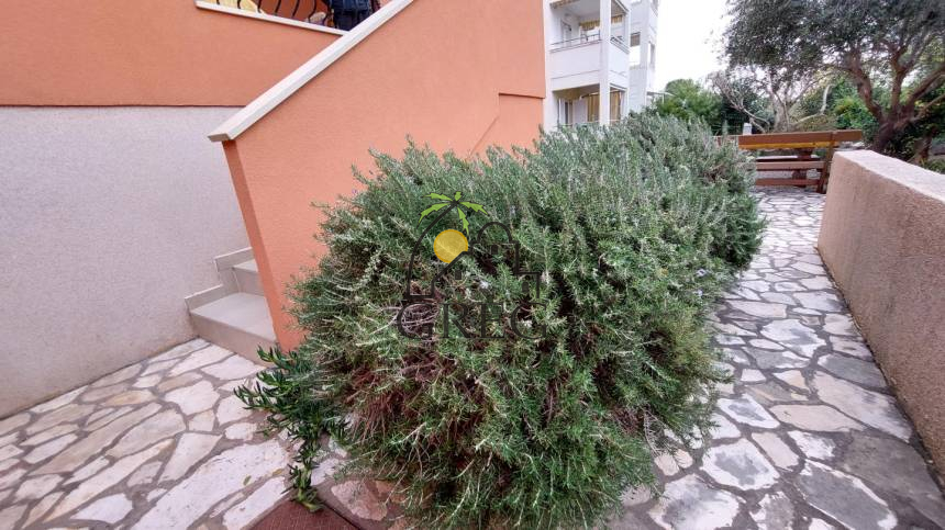 Chorwacja, Wyspa Pag, Novalja - Apartament, na sprzedaż