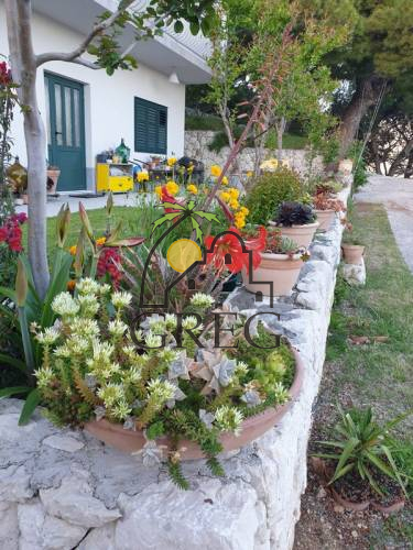 Chorwacja, Dalmacja Środkowa, Omis - Bliźniak, na sprzedaż