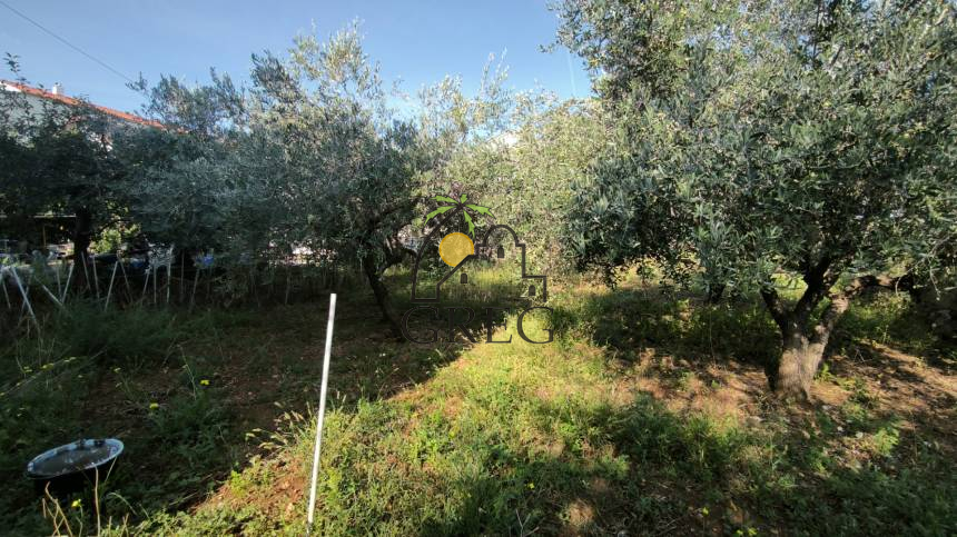 Croatia, North Dalmatia, Petrcane - House, for sale