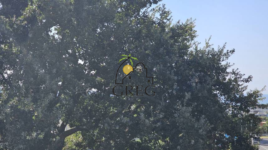 Croatia, Istria Peninsula, Novigrad - Apartment, for sale