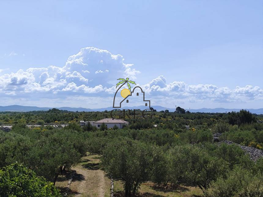 Croatia, North Dalmatia, Vodice - Apartment, for sale