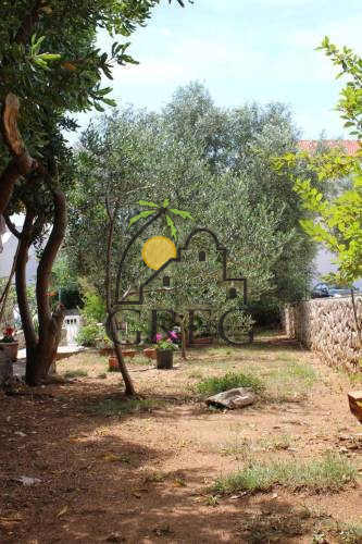 Chorwacja, Wyspa Pag, Mandre - Apartamentowiec, na sprzedaż