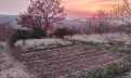 Croatia, Middle Dalmatia, Split - House, for sale